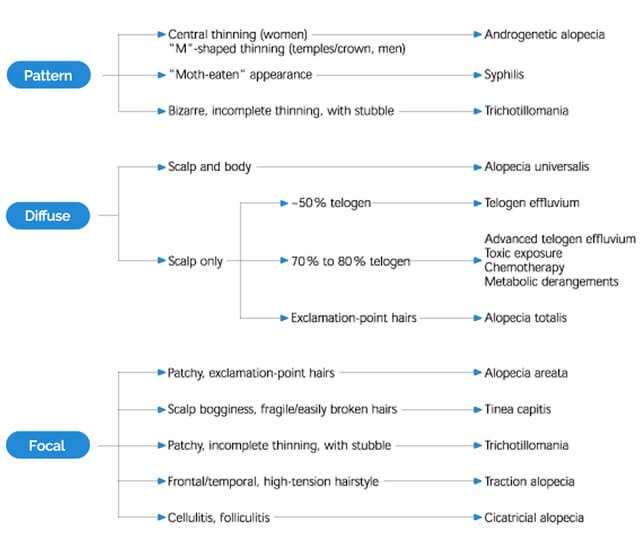 Appearance of Hair Loss and Etiology